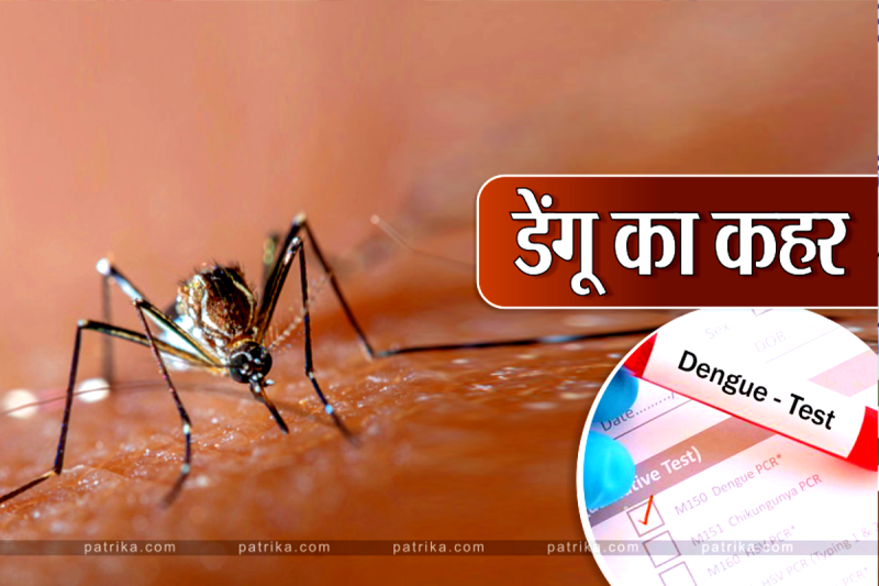 Dengue Alert