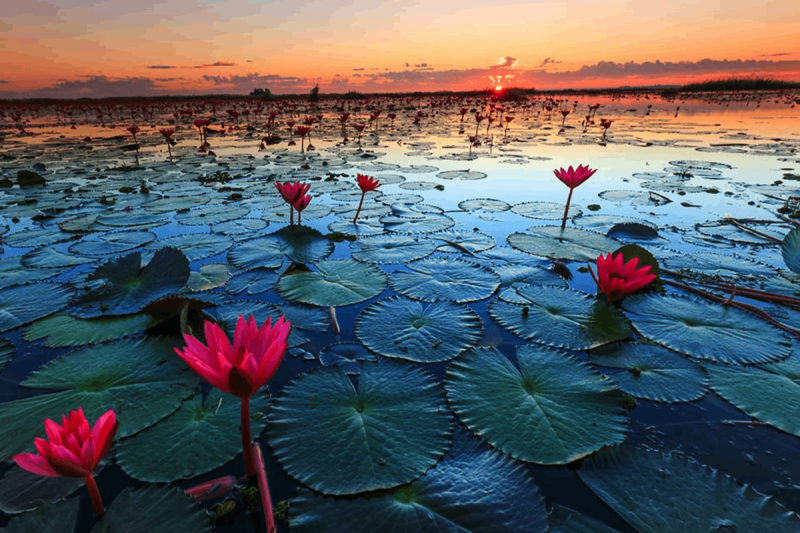 beautiful place in indore