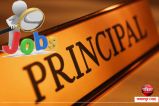 government principal jobs