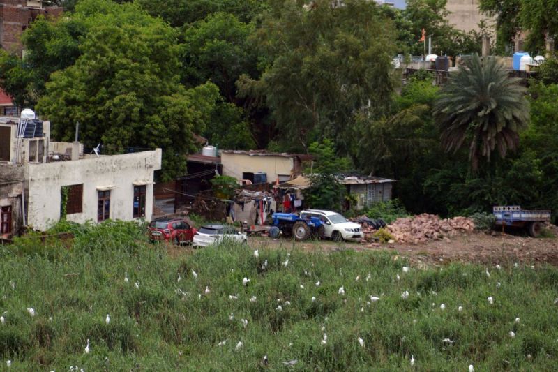 KOTRI RIYASATKALIN TALAB