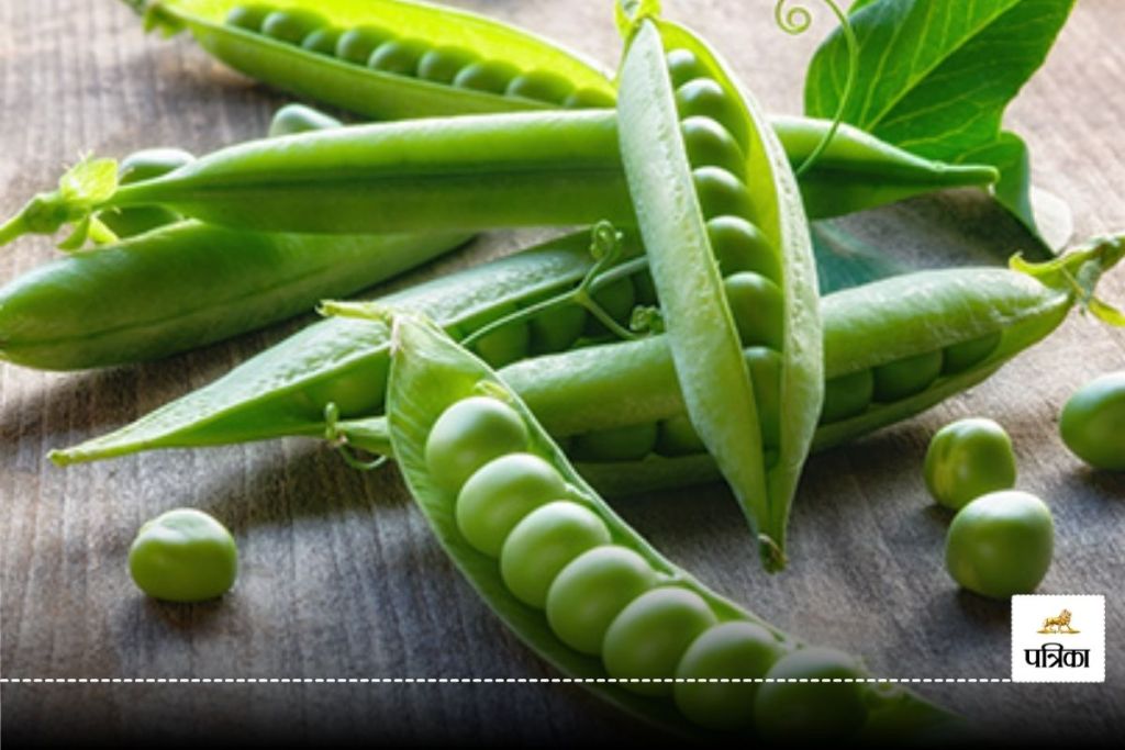 pea farming