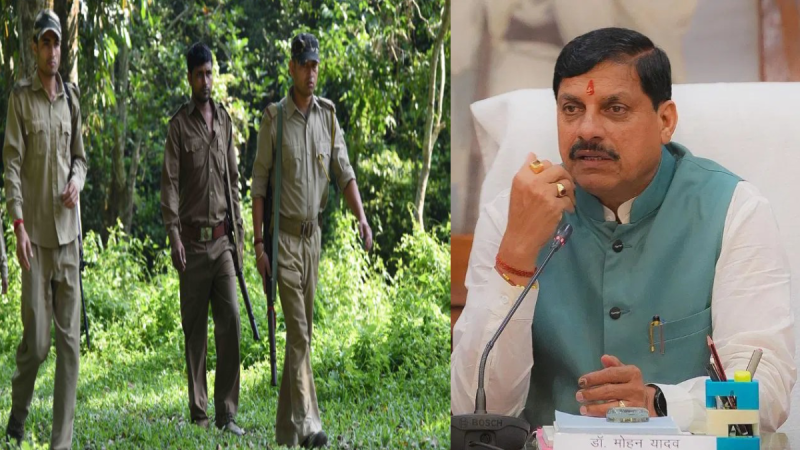 MP Forest Department