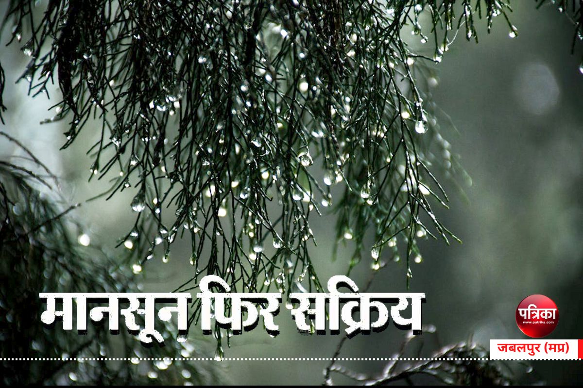 September Monsoon : नए सिस्टम से मानसून फिर सक्रिय होगा, इस महीने जोरदार बारिश
के आसार