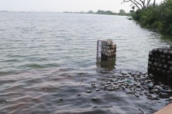 Jawai Dam: राजस्थान की इस जिले पर मेहरबान रहा मानसून, जवाई बांध में पहुंचा इतना
पानी, हेमावास भी छलका - image