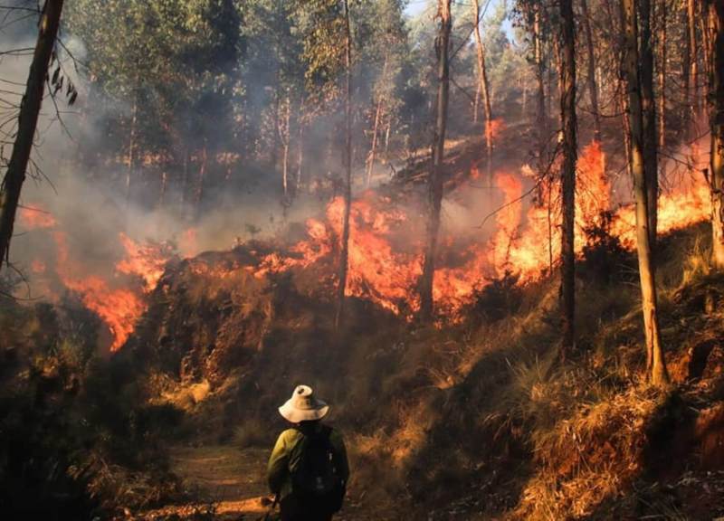 Forest fires in Peru