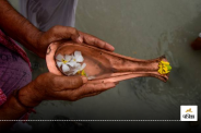 Pitru Paksha inauspicious event