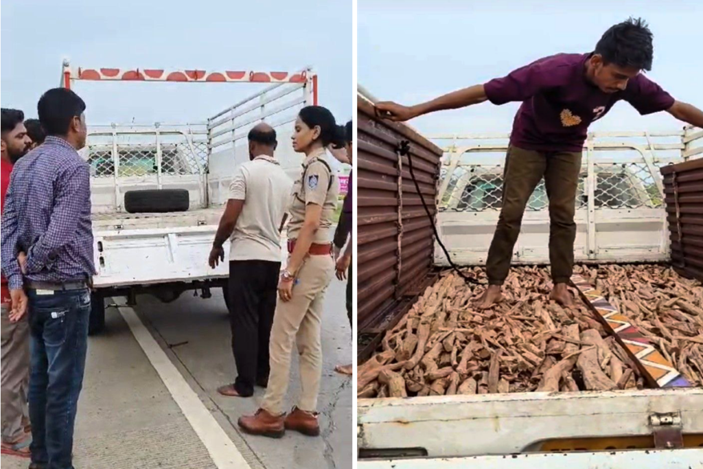 Sandalwood Smuggling