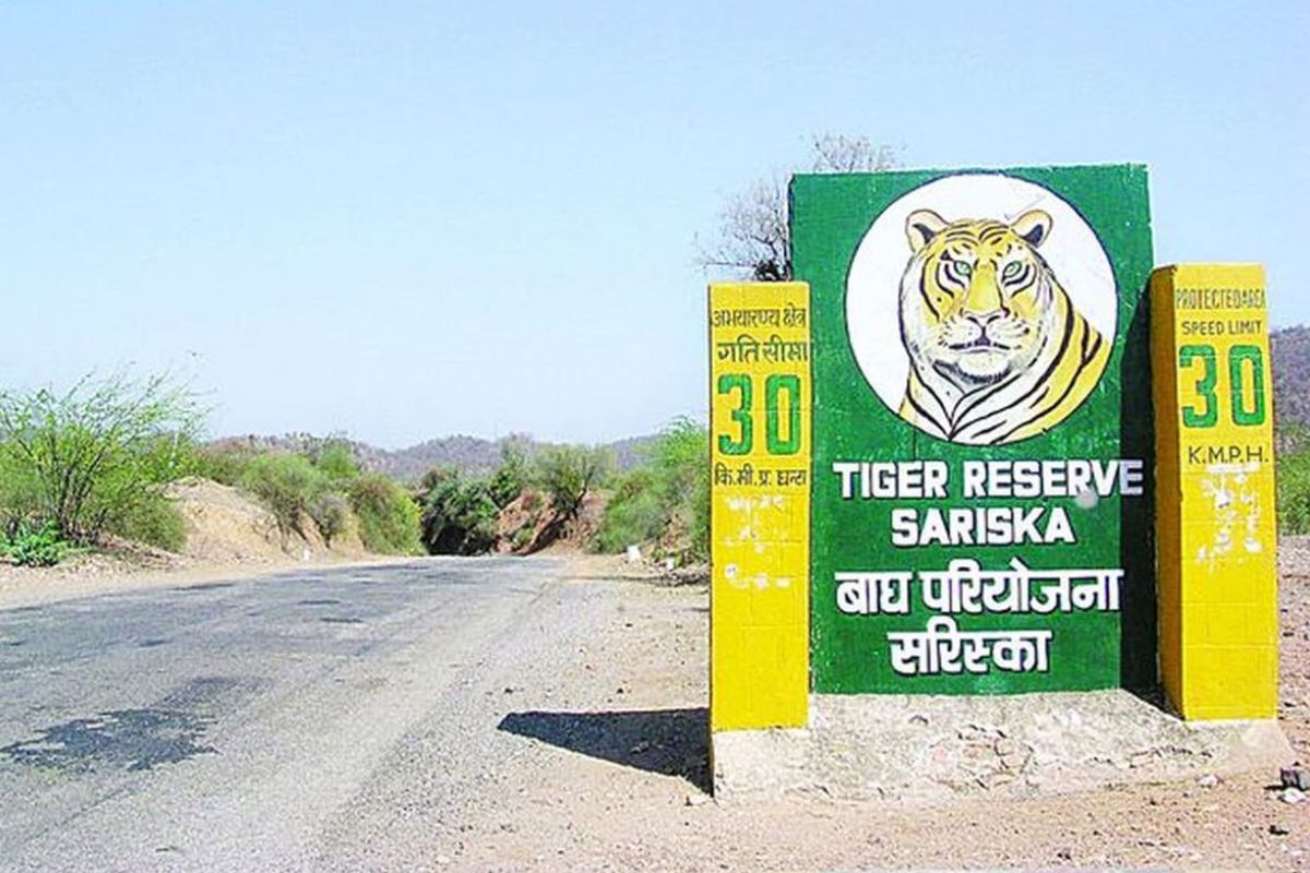 sariska