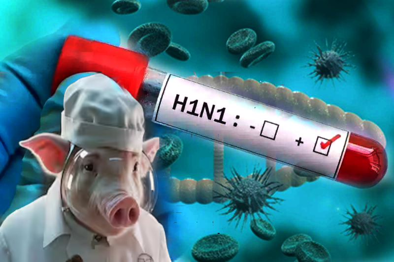 Swine Flu Alert