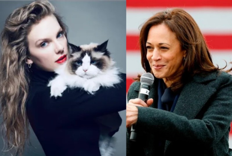 Taylor Swift endorses Kamala Harris
