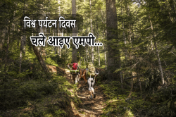 World Tourism Day: विंटर वेकेशन में घूमने के बेस्ट डेस्टिनेशन, एमपी के ये
टूरिस्ट स्पाट हमेशा रहेंगे याद - image