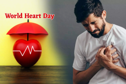 World Heart Day: दिल को इलाज से ज्यादा सुरक्षा की जरूरत, जानें युवाओं को क्यों आ
रहे हार्ट अटैक - image