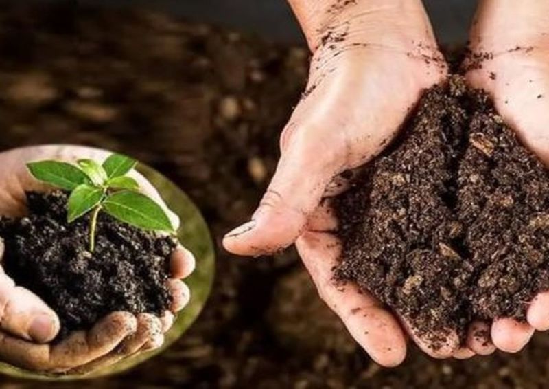 मप्र की सीमा पर स्थापित चैकपोस्ट पर पुलिस अधिकारी, कृषि विभाग के नोडल अधिकारी व सहायक नोडल अधिकारी नियुक्त किए गए हैं।