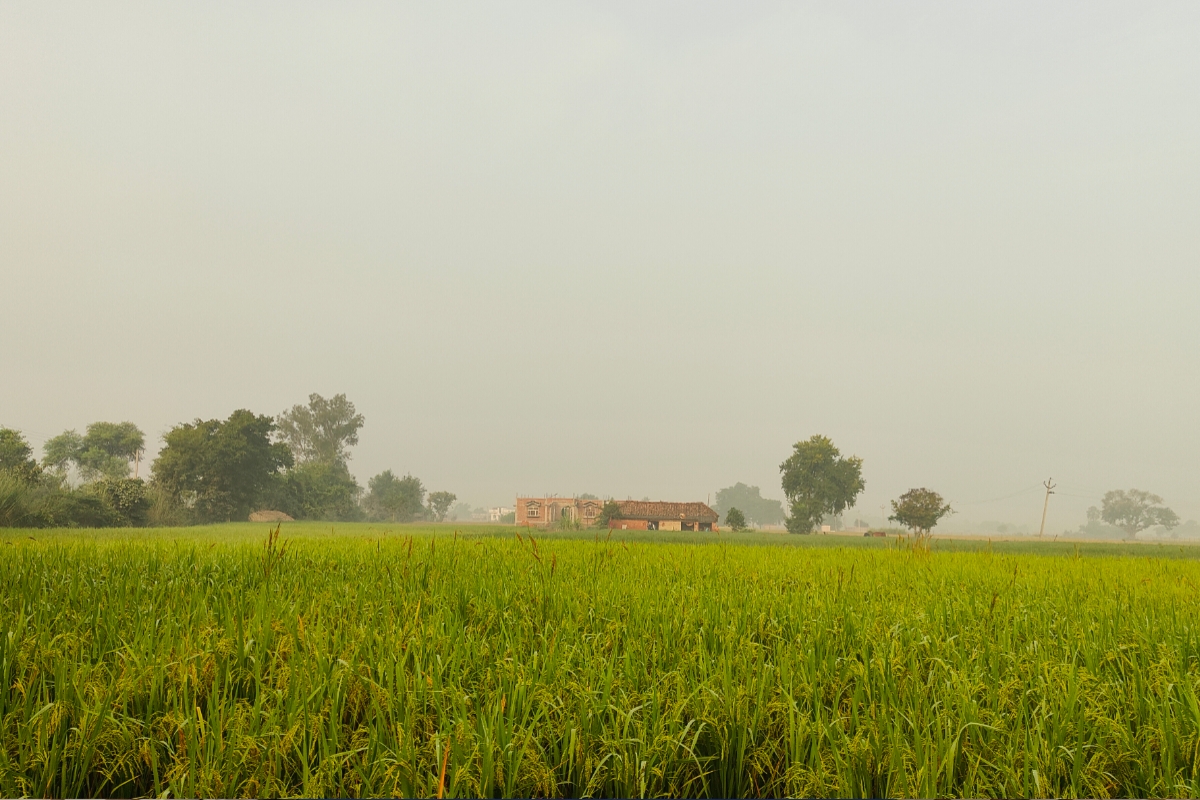 Weather today: निकाल लें रजाई, इस दिन से पड़ेगी कड़ाके की ठंड,सेंकनी पड़ेगी आग