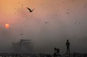 Lucknow Air Pollution: After NCR, Lucknow on High Alert for Air Pollution