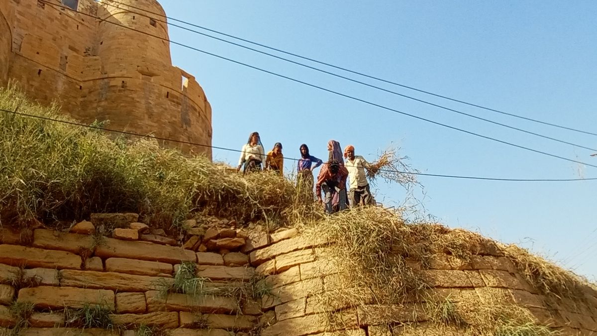 Watch Video: सोनार दुर्ग के पट्ठे पर घास की कटाई का काम शुरू