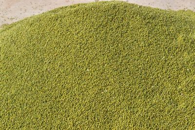 Short video poster image