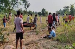 Bear killed woman: धान कटाई करने गई महिला को भालू ने मार डाला, बैठकर 2 घंटे तक
खाता रहा मांस - image