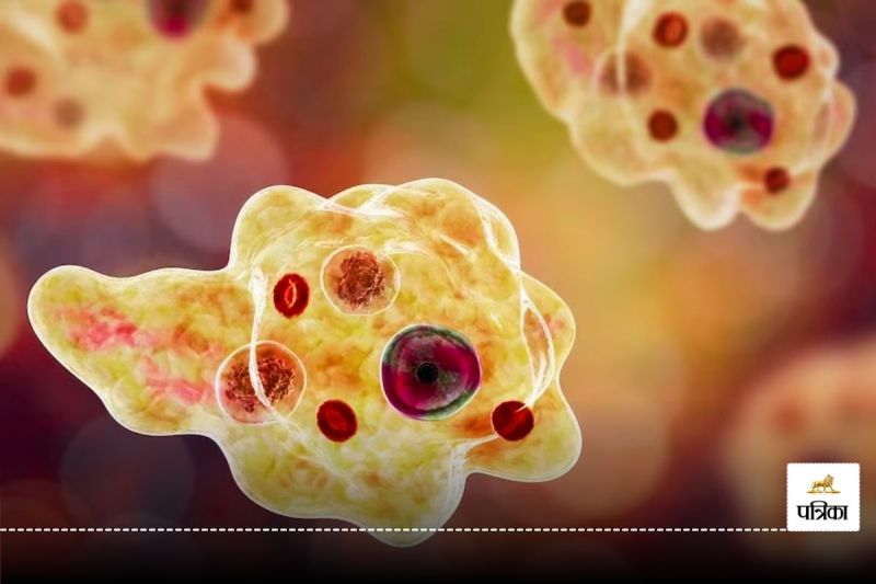 Brain eating amoeba Kerala