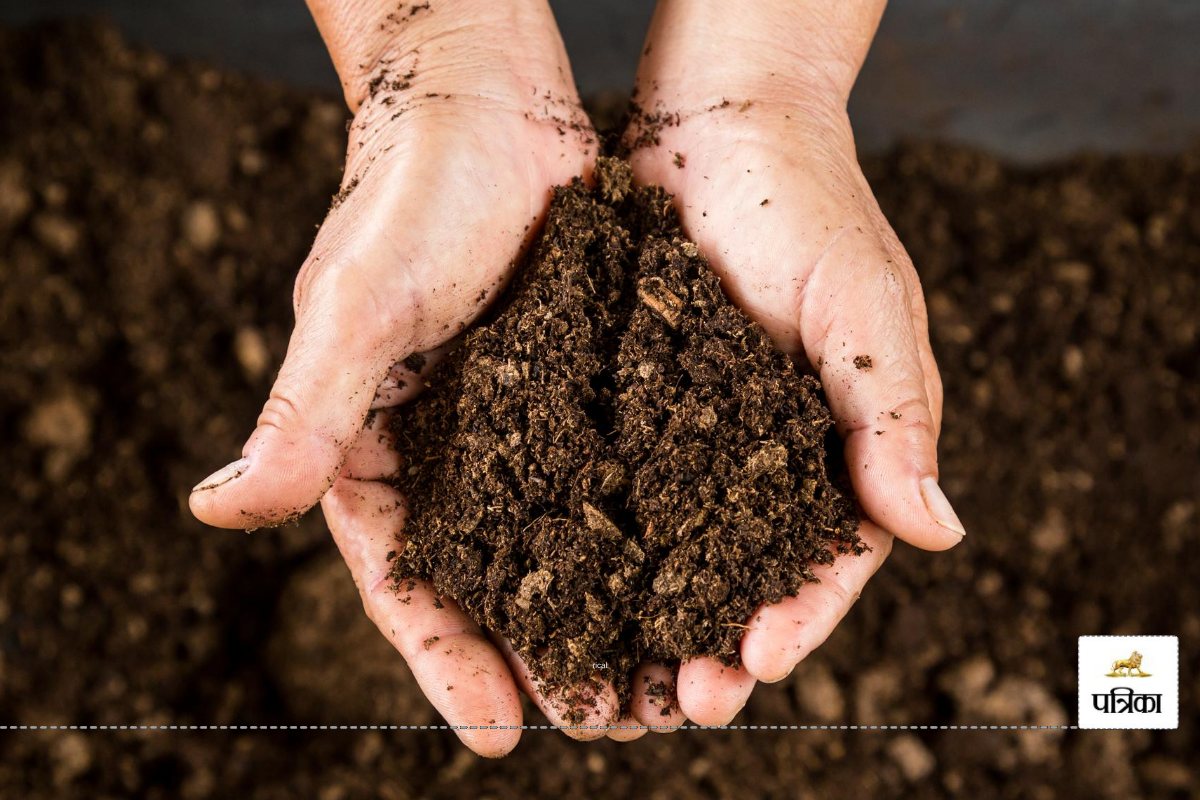 Women of Sakhi Mandal, making Organic Fertilizers from Wet Waste for Farmers