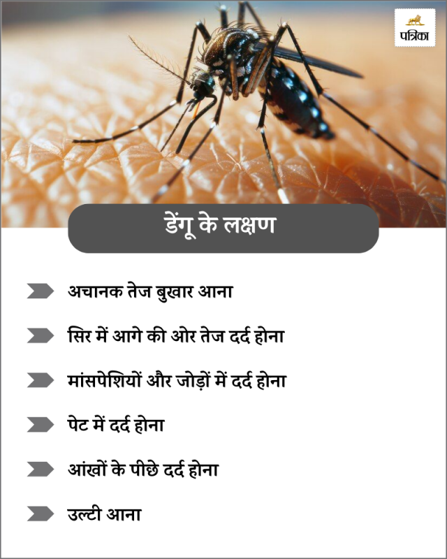 dengue alert