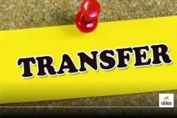 CG Transfer: जिले में कई अधिकारियों का हुआ तबादला, दिवाली के बाद संभालेंगे पदभार - image