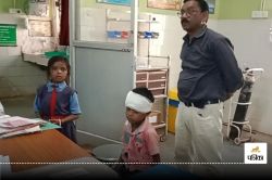 Incident in school: भरभराकर गिरा प्राइमरी स्कूल की छत का प्लास्टर, दो मासूम
लहूलुहान, एक के सिर पर लगे टांके - image