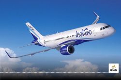 IndiGo Airlines ठप! पूरे देश में फंसे यात्री, ये सेवाएं होंगी प्रभावित - image