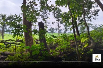 Short video poster image