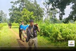 कांधे पर नक्सलियों के शव लेकर लौट रहे 1000 जवान, रोटी-मैगी खाकर सफर किया पूरा,
देखें Video - image