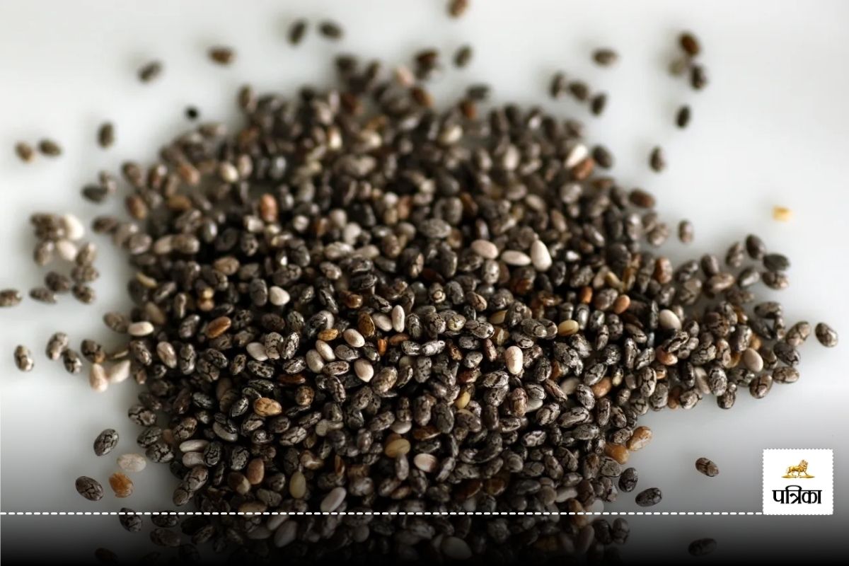 दही में Chia Seeds मिलाकर खाने के फायदे क्या है, जानिए आप भी