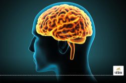 कमजोर हो गया है Brain, दिमाग को स्वस्थ रखने के लिए अपनाएं ये आसान टिप्स - image