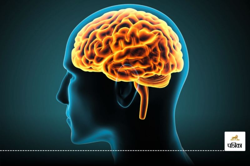 Your brain has become weak, follow these simple tips to keep your brain healthy