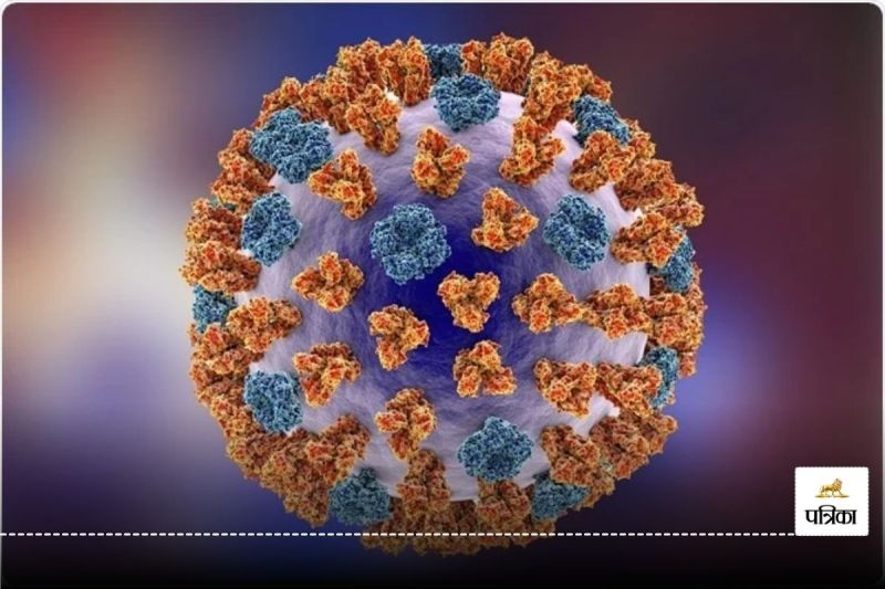Influenza virus