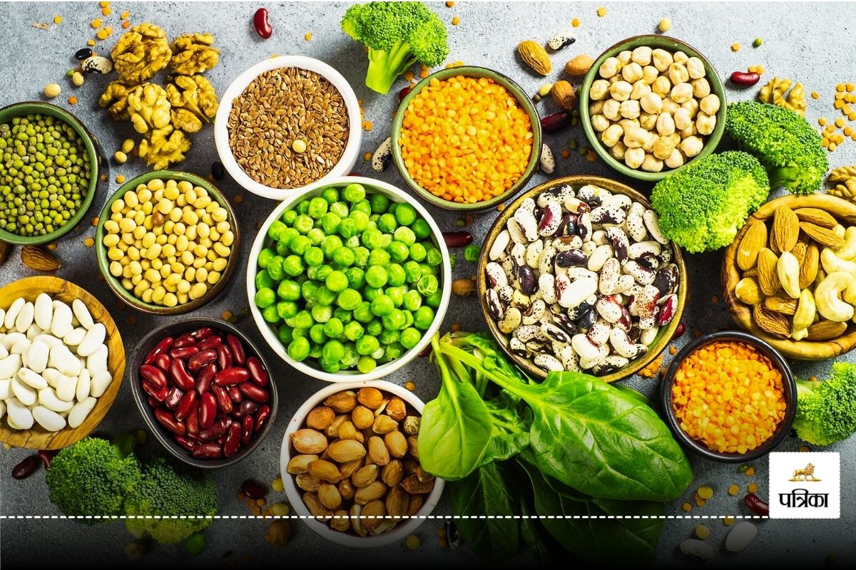 Veg food in protein : शाकाहारी लोग प्रोटीन की पूर्ति को लेकर परेशान है तो, देखें
वीडियो