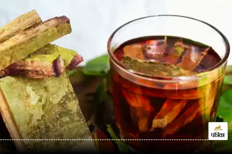 Arjun Bark benefits: Arjun bark decoction provides relief in heart disease along with blood sugar