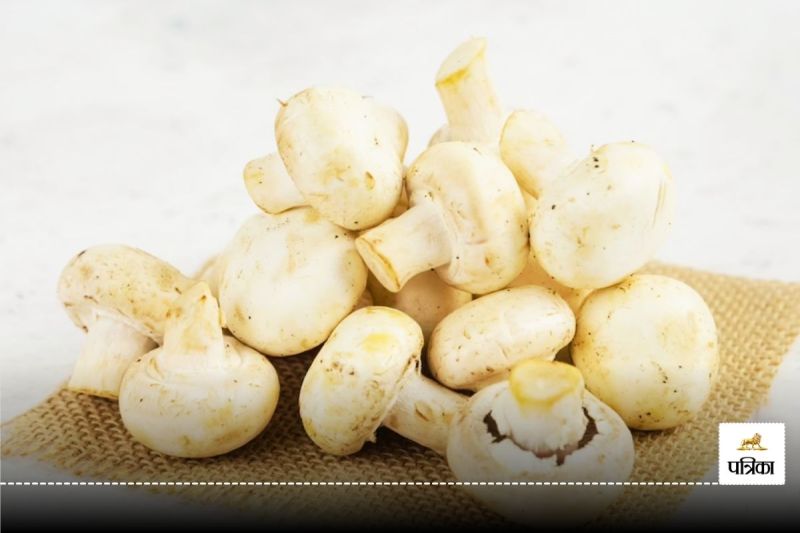Mushrooms are effective in reducing weight, just consume them in this way