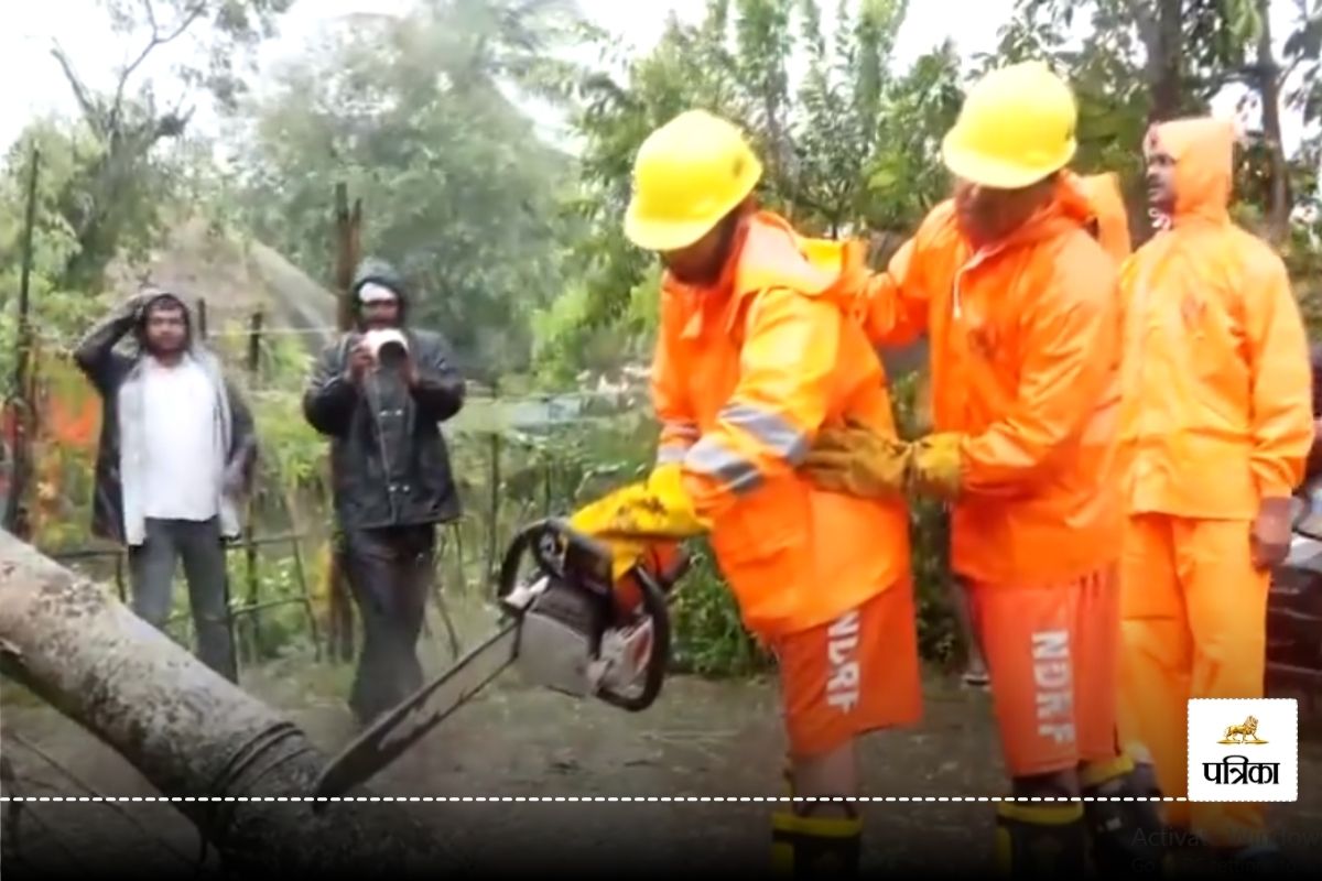 Cyclone Dana: चक्रवात दाना के कारण उखड़े पेड़ों को हटाने में जुटी एनडीआरएफ,
भुवनेश्वर एयरपोर्ट पर आवाजाही हुई शुरू