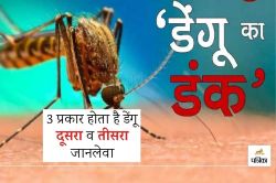 Dengue Havoc : डेंगू के संदिग्ध रोगी की जयपुर में मौत! जानें डेंगू के क्या हैं
लक्षण - image