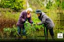 Gardening Helps Prevent Disease, Keeps Elders Healthy