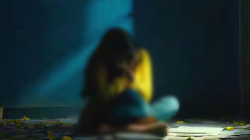 Husband puts wife at stake to repay loan in Rampur