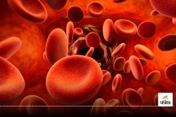 Increase Platelets Fast : घटी हुई प्लेटलेट्स बढ़ाने का अचूक तरीका , 24 घंटे में
दिखेगा असर : देखें वीडियो - image