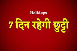 Holidays: नवंबर में 7 दिन रहेगी फुल छुट्टी, जानें कब-कब - image