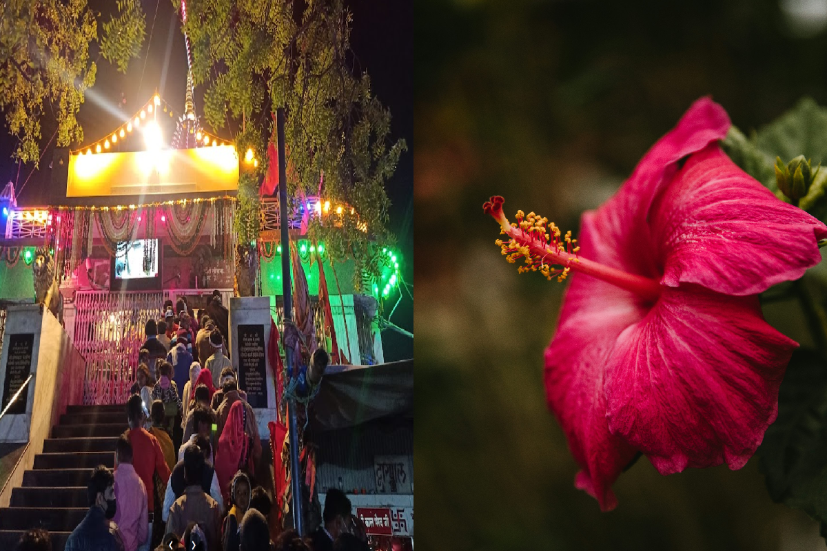 maihar sharda mata mandir