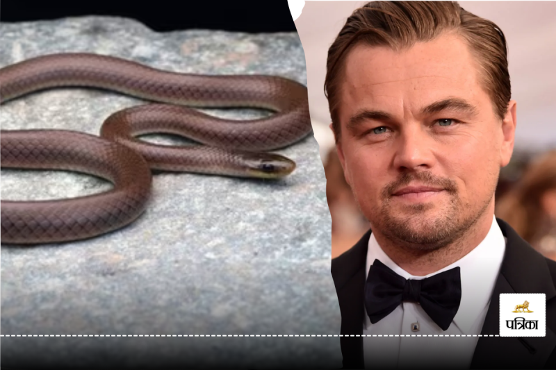 New Snake Named After Leonardo DiCaprio