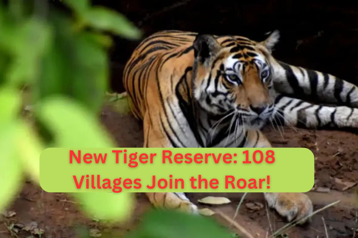 Rajasthan to establish fifth tiger reserve; roar of tigers to echo soon with 108
villages from Dholpur-Karauli included