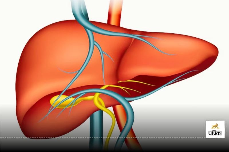 Obesity and sugar can cause liver cancer