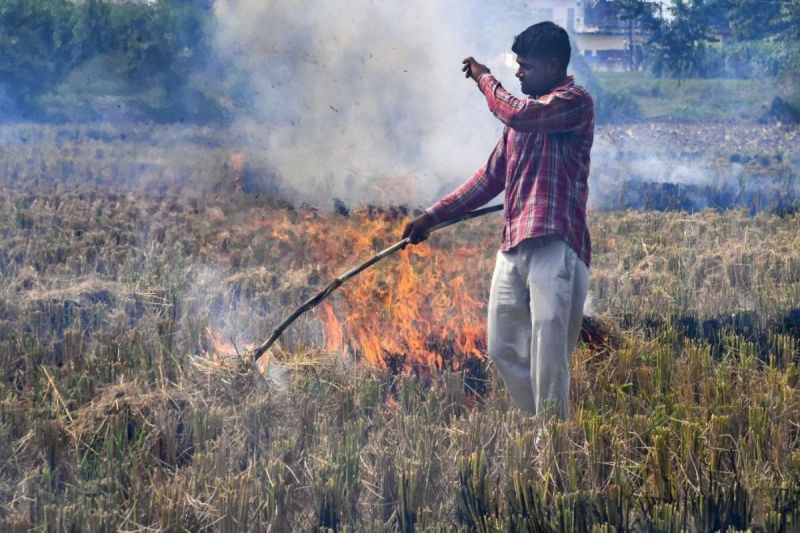 Air Pollution, Parali Case in Hospital, UP News, aligarh news, mathura news, sambhal News