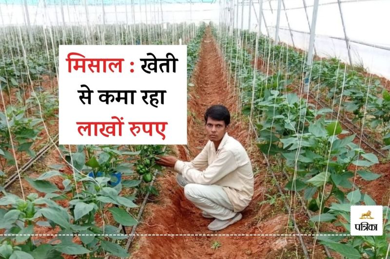 Rajasthan Tribal Youth set an Example Teacher Job Left Started Farming You Surprised know his Earnings