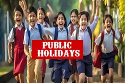 Public Holidays: लगातार 5 दिन की छुट्टी, 10 से 14 अक्टूबर तक बंद रहेंगे
स्कूल-बैंक और ऑफिस, जानिए क्यों - image